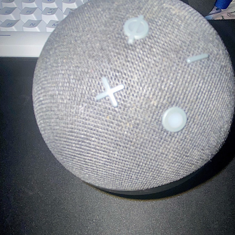 Amazon echo